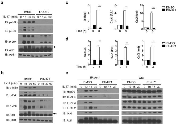https://cdn.ncbi.nlm.nih.gov/pmc/blobs/5485/3522792/59add486463e/nihms417627f2.jpg
