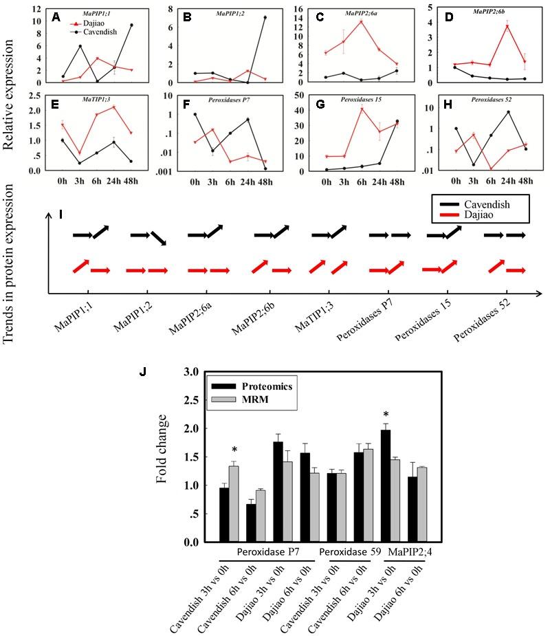 https://cdn.ncbi.nlm.nih.gov/pmc/blobs/5485/5852111/aa699ea72869/fpls-09-00282-g006.jpg