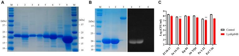 https://cdn.ncbi.nlm.nih.gov/pmc/blobs/5486/11112412/1709d16419e2/fmicb-15-1397830-g003.jpg