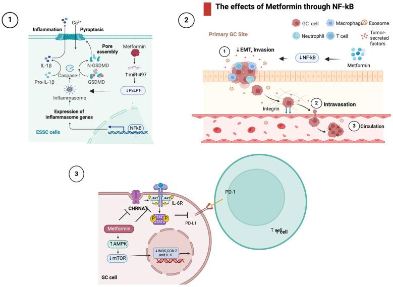 https://cdn.ncbi.nlm.nih.gov/pmc/blobs/5488/10932447/6f02266657ee/ijms-25-02978-g004.jpg