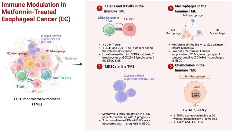 https://cdn.ncbi.nlm.nih.gov/pmc/blobs/5488/10932447/af742b74a07b/ijms-25-02978-g003.jpg