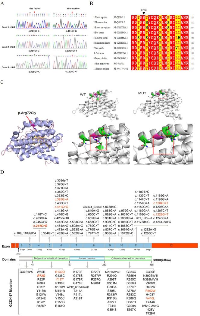 https://cdn.ncbi.nlm.nih.gov/pmc/blobs/5489/11344010/6fe1f66287c8/gr3.jpg