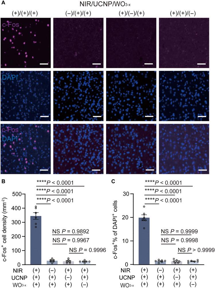 https://cdn.ncbi.nlm.nih.gov/pmc/blobs/548a/12164973/b8331362cd43/sciadv.adt4771-f5.jpg