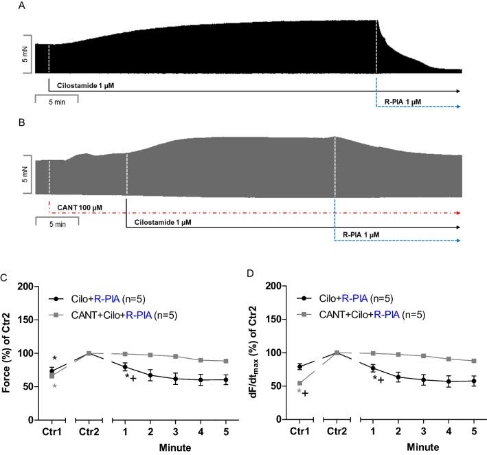 https://cdn.ncbi.nlm.nih.gov/pmc/blobs/548b/12263810/5d387a7ee0a6/210_2025_3854_Fig4_HTML.jpg