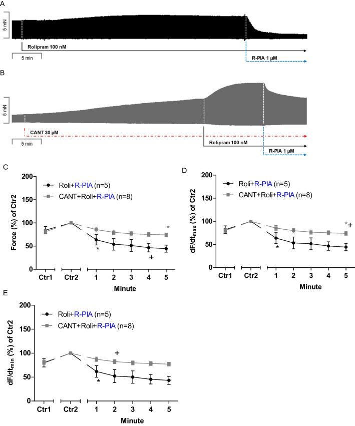 https://cdn.ncbi.nlm.nih.gov/pmc/blobs/548b/12263810/9d9245ce942c/210_2025_3854_Fig2_HTML.jpg