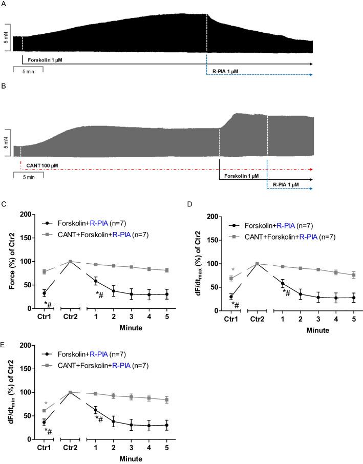 https://cdn.ncbi.nlm.nih.gov/pmc/blobs/548b/12263810/b4d654363bac/210_2025_3854_Fig5_HTML.jpg