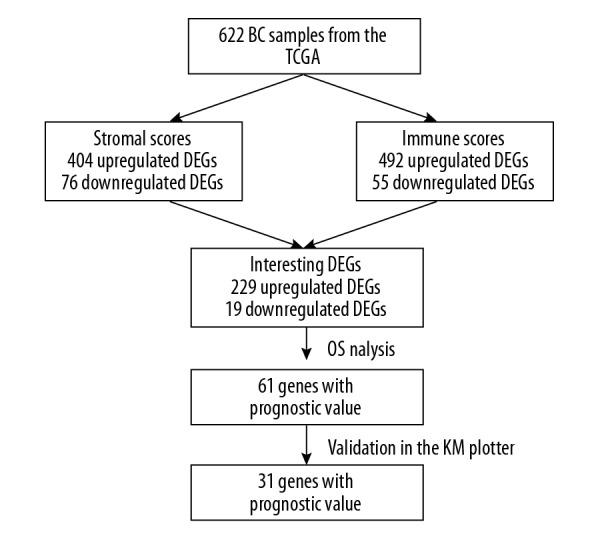https://cdn.ncbi.nlm.nih.gov/pmc/blobs/548c/7160604/524de827ff1f/medscimonit-26-e920212-g007.jpg