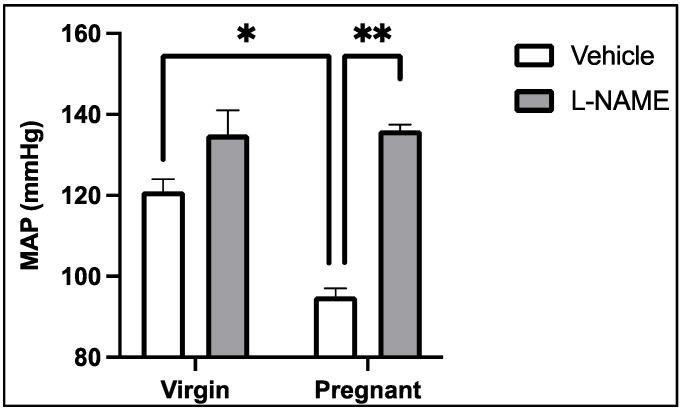 https://cdn.ncbi.nlm.nih.gov/pmc/blobs/548d/8541176/6b5c9ee2202b/ijms-22-11261-g002.jpg