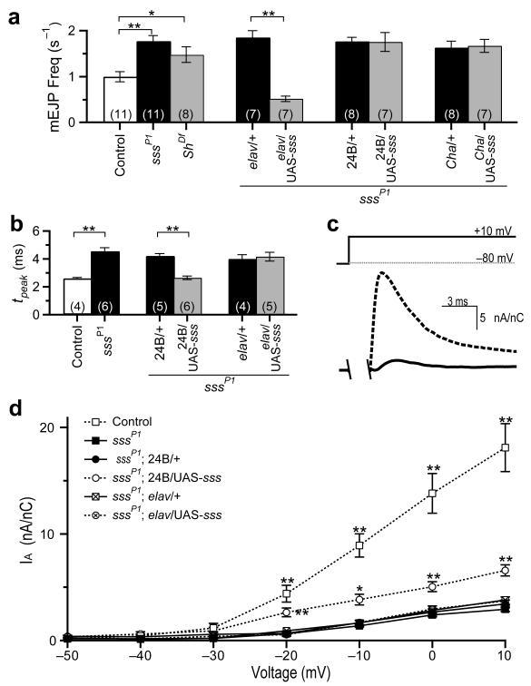 https://cdn.ncbi.nlm.nih.gov/pmc/blobs/548e/2842941/10345f9b93b2/nihms-165641-f0006.jpg