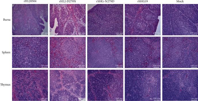 https://cdn.ncbi.nlm.nih.gov/pmc/blobs/5490/12017002/3bcc9b3e991b/TBED2023-6684304.003.jpg