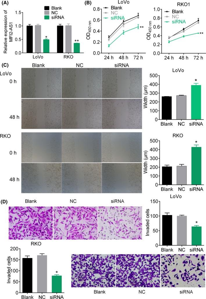 https://cdn.ncbi.nlm.nih.gov/pmc/blobs/5490/6668983/c524a61a3863/CPR-52-e12632-g002.jpg