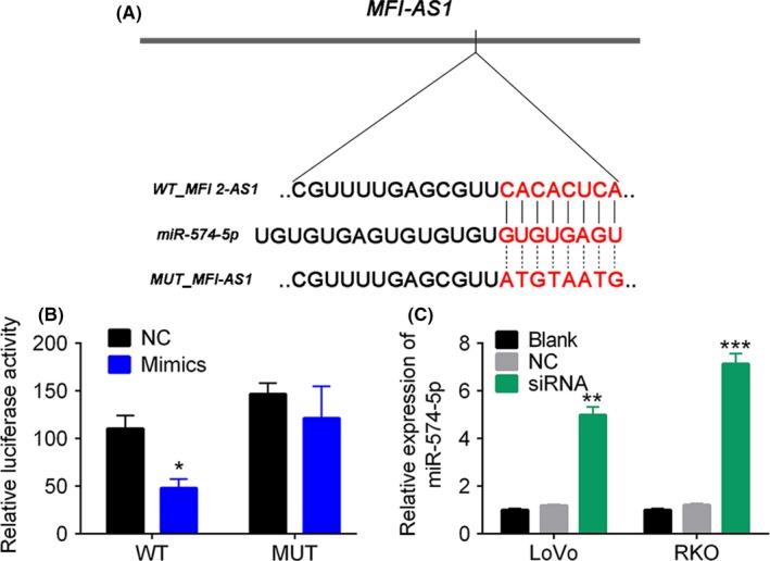 https://cdn.ncbi.nlm.nih.gov/pmc/blobs/5490/6668983/cc7c733087b2/CPR-52-e12632-g004.jpg