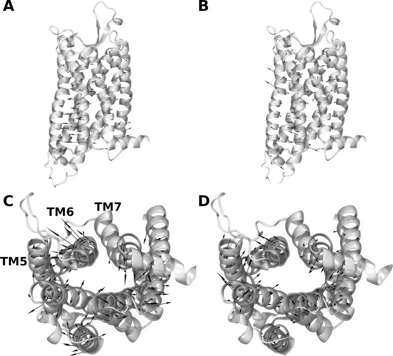 https://cdn.ncbi.nlm.nih.gov/pmc/blobs/5490/8416020/bae1254aa3e8/elife-63201-fig4-figsupp4.jpg