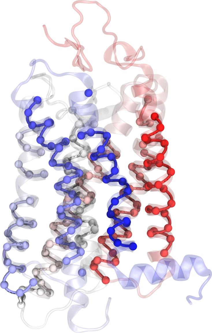 https://cdn.ncbi.nlm.nih.gov/pmc/blobs/5490/8416020/f55f791bada4/elife-63201-fig4-figsupp5.jpg