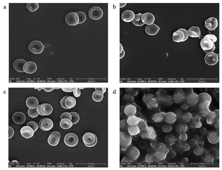 https://cdn.ncbi.nlm.nih.gov/pmc/blobs/5491/12197210/4fc3c0fc02a8/pharmaceutics-17-00774-g014.jpg
