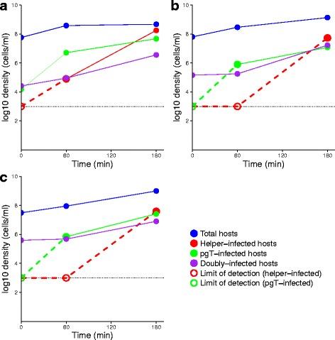 https://cdn.ncbi.nlm.nih.gov/pmc/blobs/5494/5062863/3e1d4fef0197/13036_2016_33_Fig5_HTML.jpg
