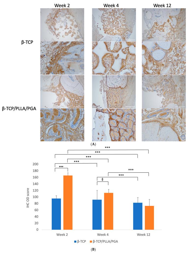 https://cdn.ncbi.nlm.nih.gov/pmc/blobs/5497/10780666/67335b0a37f5/nanomaterials-14-00091-g008.jpg
