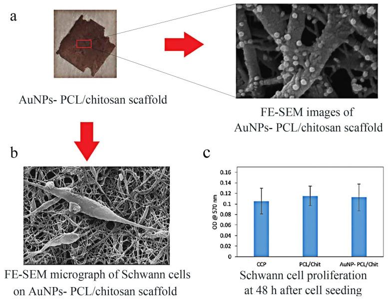 https://cdn.ncbi.nlm.nih.gov/pmc/blobs/5499/10856494/7ea87933457b/molecules-29-00566-g007.jpg
