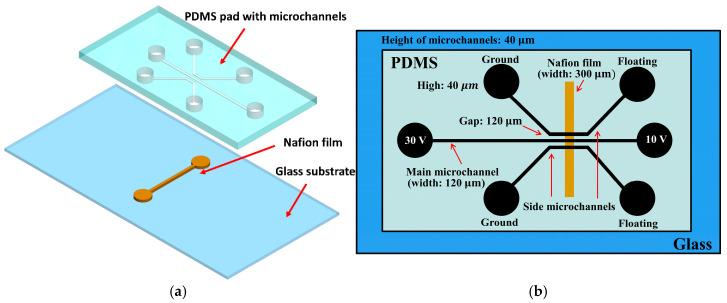 https://cdn.ncbi.nlm.nih.gov/pmc/blobs/5499/11763946/d3198dc32d40/biosensors-15-00001-g001.jpg