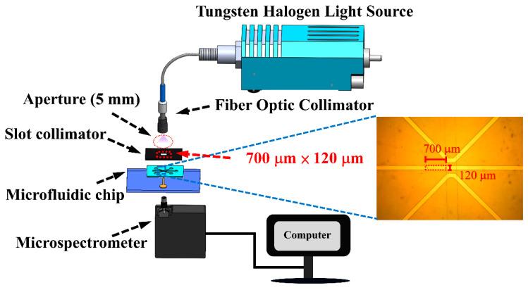 https://cdn.ncbi.nlm.nih.gov/pmc/blobs/5499/11763946/e68e2b4fb8d8/biosensors-15-00001-g004.jpg