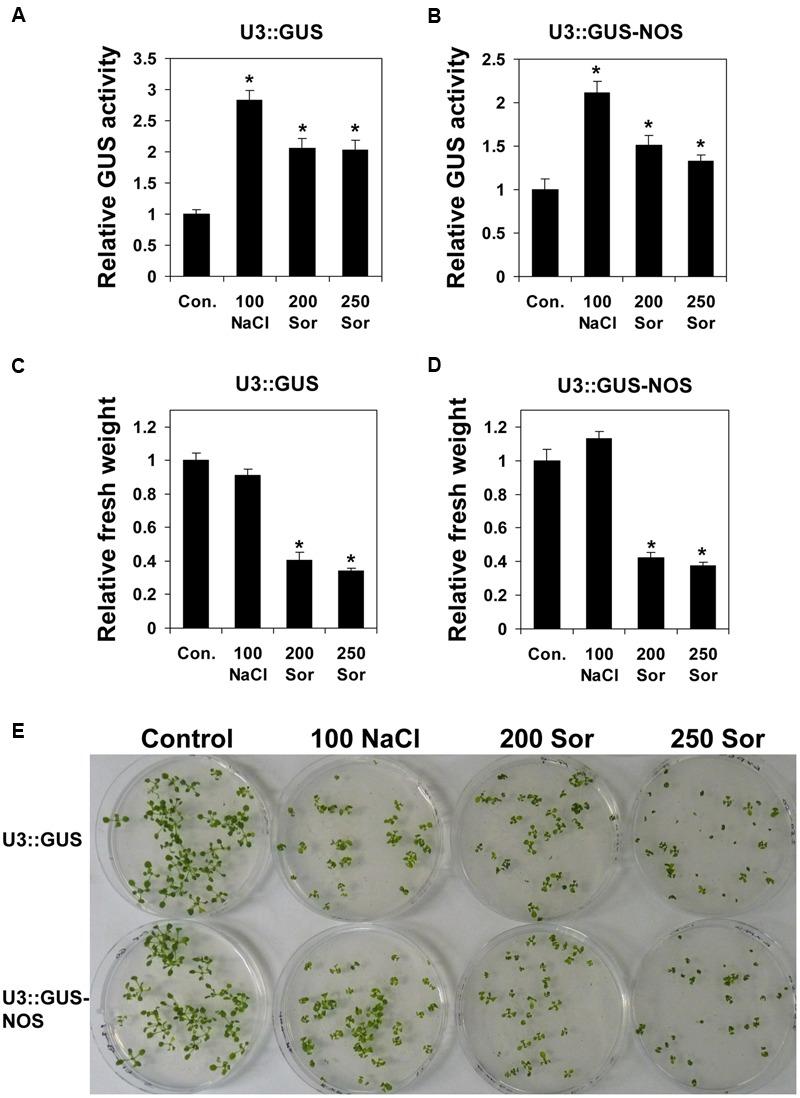 https://cdn.ncbi.nlm.nih.gov/pmc/blobs/549c/5040709/22b6d1a18fd1/fpls-07-01376-g005.jpg