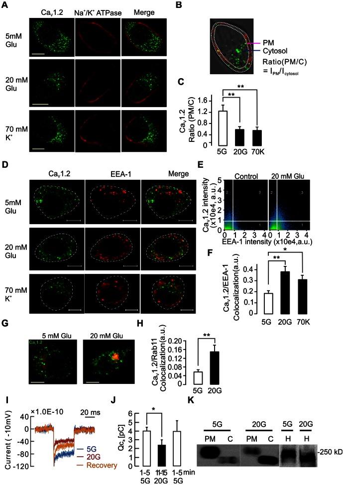 https://cdn.ncbi.nlm.nih.gov/pmc/blobs/549e/3667822/0765aaf57ae5/pone.0064462.g001.jpg