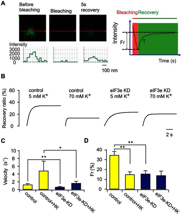 https://cdn.ncbi.nlm.nih.gov/pmc/blobs/549e/3667822/52638606dd3a/pone.0064462.g006.jpg