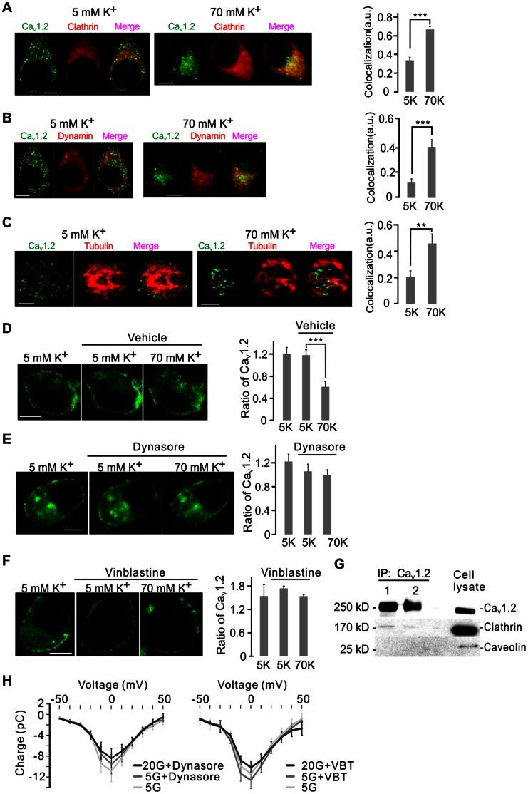 https://cdn.ncbi.nlm.nih.gov/pmc/blobs/549e/3667822/9748eea0b445/pone.0064462.g003.jpg