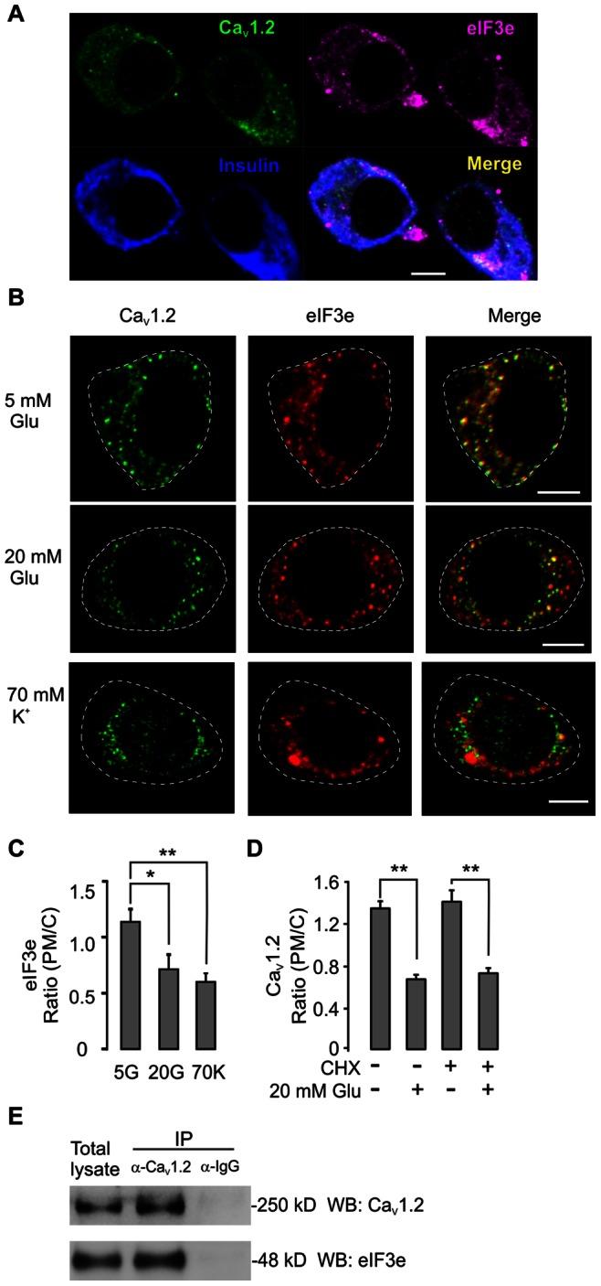 https://cdn.ncbi.nlm.nih.gov/pmc/blobs/549e/3667822/e97b5892cdf9/pone.0064462.g004.jpg