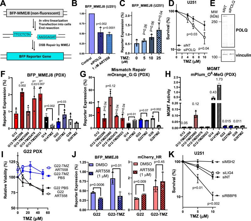 https://cdn.ncbi.nlm.nih.gov/pmc/blobs/549f/11192742/3d904ffa0e36/41467_2024_49316_Fig1_HTML.jpg