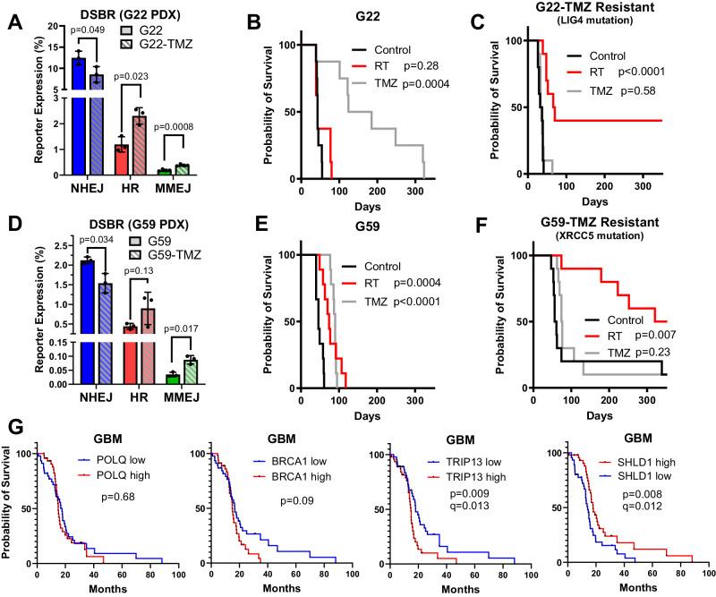 https://cdn.ncbi.nlm.nih.gov/pmc/blobs/549f/11192742/93267ffe67df/41467_2024_49316_Fig3_HTML.jpg