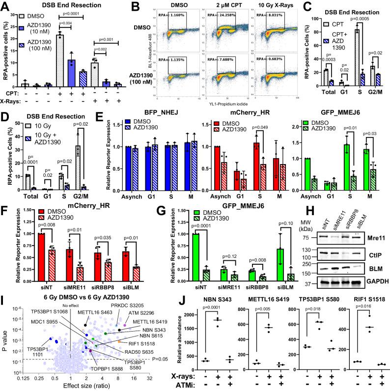 https://cdn.ncbi.nlm.nih.gov/pmc/blobs/549f/11192742/b3d07ce86ed7/41467_2024_49316_Fig6_HTML.jpg