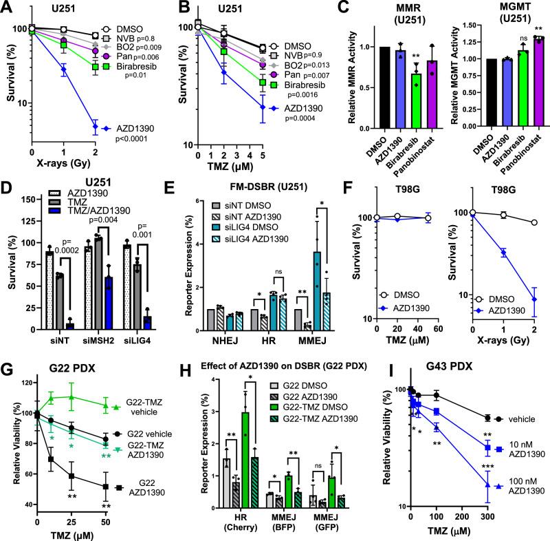 https://cdn.ncbi.nlm.nih.gov/pmc/blobs/549f/11192742/bbdb0ce4baee/41467_2024_49316_Fig5_HTML.jpg