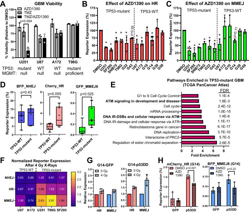 https://cdn.ncbi.nlm.nih.gov/pmc/blobs/549f/11192742/d34b425020e8/41467_2024_49316_Fig7_HTML.jpg