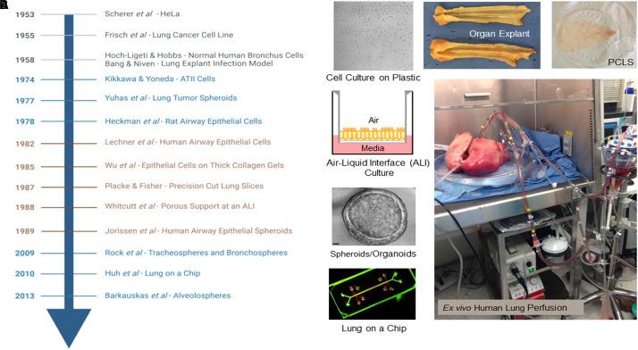 https://cdn.ncbi.nlm.nih.gov/pmc/blobs/54a1/12334885/b55bad8a57a6/rcmb.2025-0322STf2.jpg