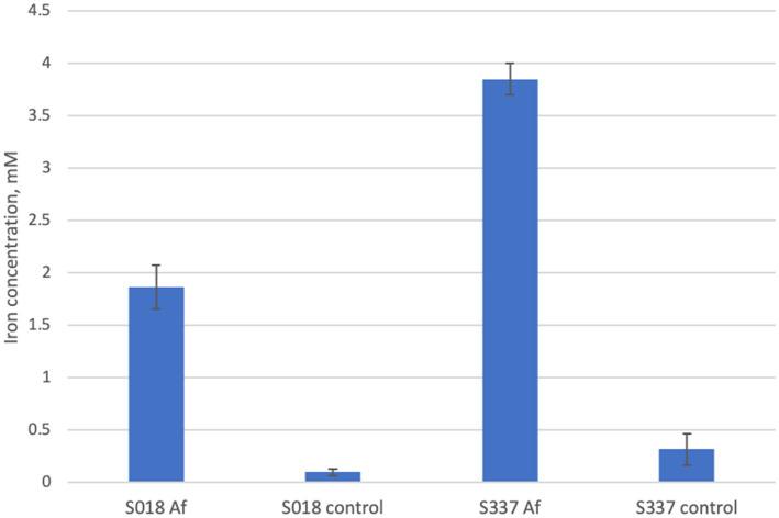 https://cdn.ncbi.nlm.nih.gov/pmc/blobs/54a3/11155390/3a945015d219/fmicb-15-1360018-g005.jpg