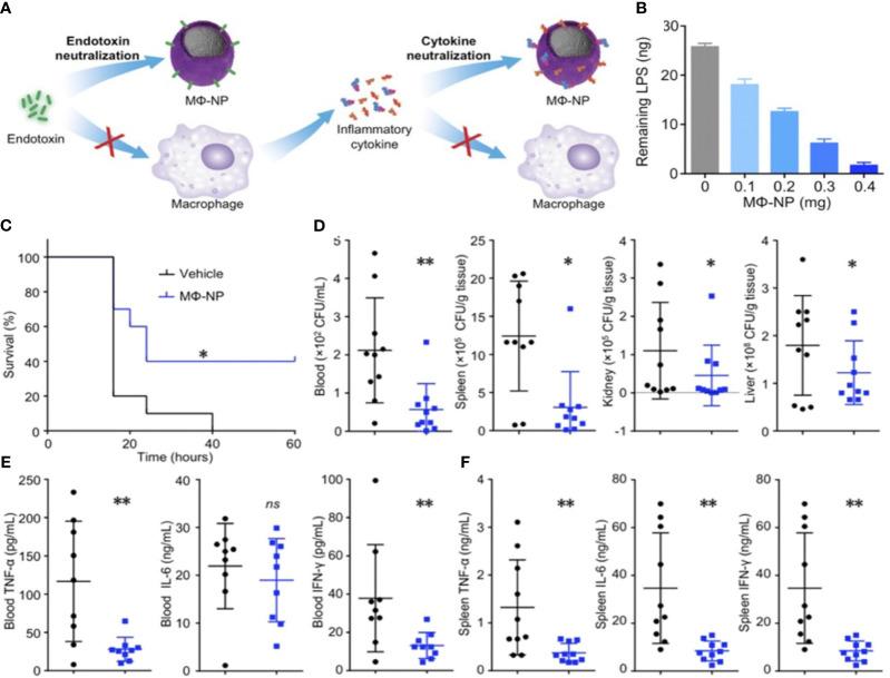 https://cdn.ncbi.nlm.nih.gov/pmc/blobs/54a8/10899385/422bc9efab79/fimmu-15-1296061-g006.jpg