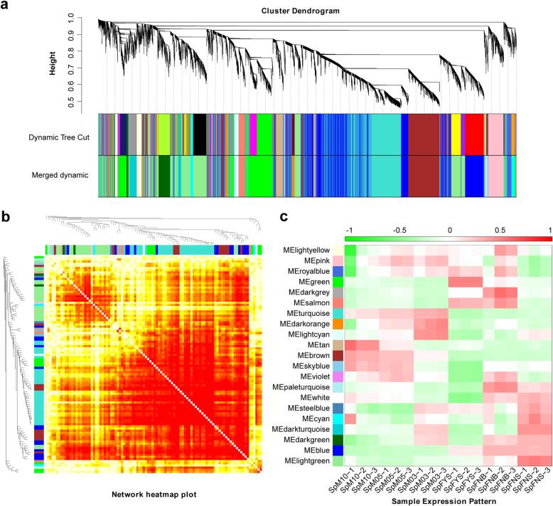 https://cdn.ncbi.nlm.nih.gov/pmc/blobs/54a8/7708156/efca5ac24f2c/12864_2020_7277_Fig7_HTML.jpg