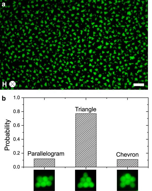 https://cdn.ncbi.nlm.nih.gov/pmc/blobs/54a8/9814898/7bdbb0726061/42004_2022_687_Fig7_HTML.jpg
