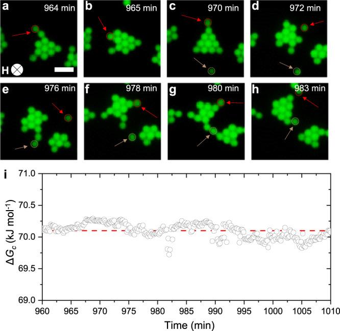 https://cdn.ncbi.nlm.nih.gov/pmc/blobs/54a8/9814898/b71d5aa479c4/42004_2022_687_Fig5_HTML.jpg