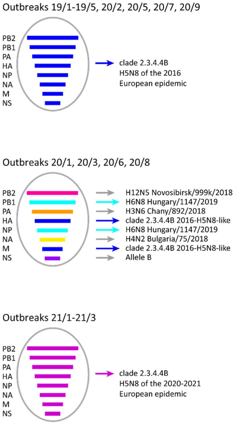 https://cdn.ncbi.nlm.nih.gov/pmc/blobs/54aa/8541051/510c5981cd77/viruses-13-02086-g002.jpg