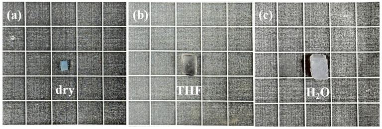 https://cdn.ncbi.nlm.nih.gov/pmc/blobs/54ae/12191475/44da05eb4633/gels-11-00443-g009.jpg