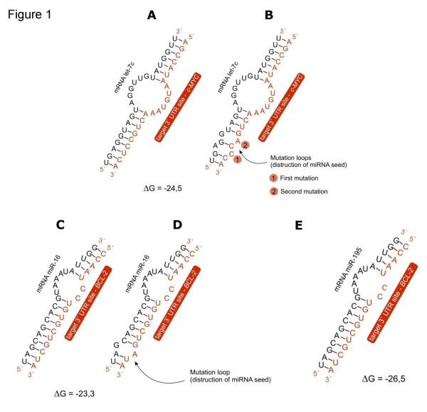 https://cdn.ncbi.nlm.nih.gov/pmc/blobs/54ae/2096627/8c8b48045197/1471-2199-8-79-1.jpg