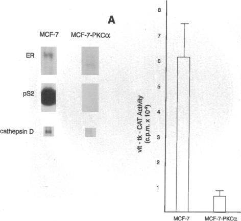 https://cdn.ncbi.nlm.nih.gov/pmc/blobs/54ae/295735/28cda26b142a/jcinvest00025-0495-a.jpg