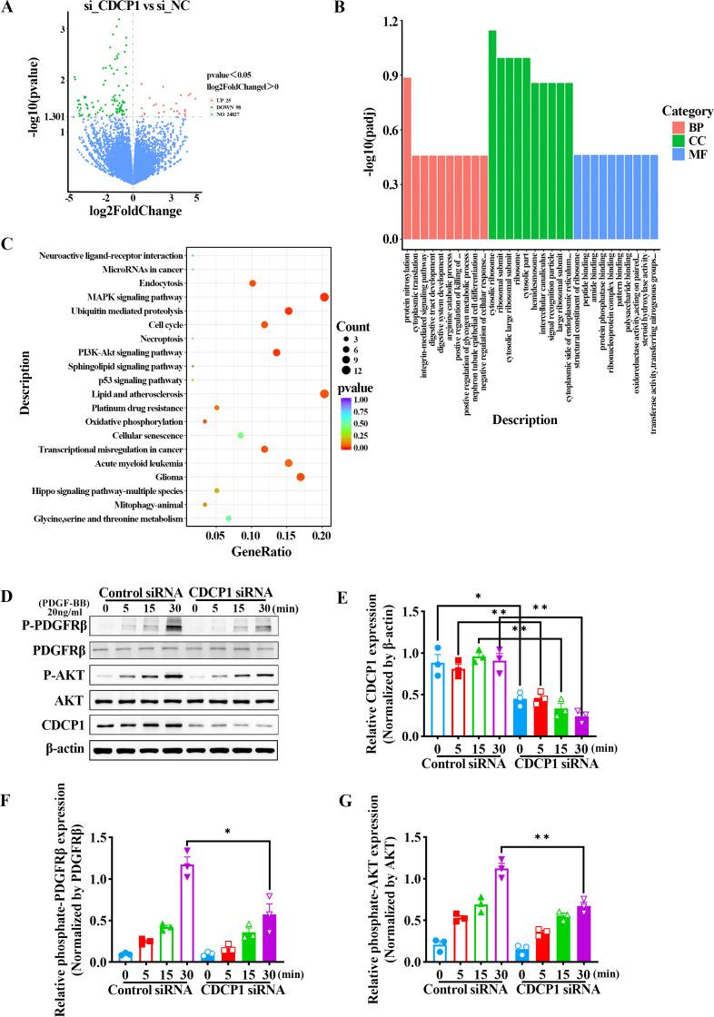 https://cdn.ncbi.nlm.nih.gov/pmc/blobs/54b0/12007496/0919a48abb25/peerj-13-19114-g003.jpg