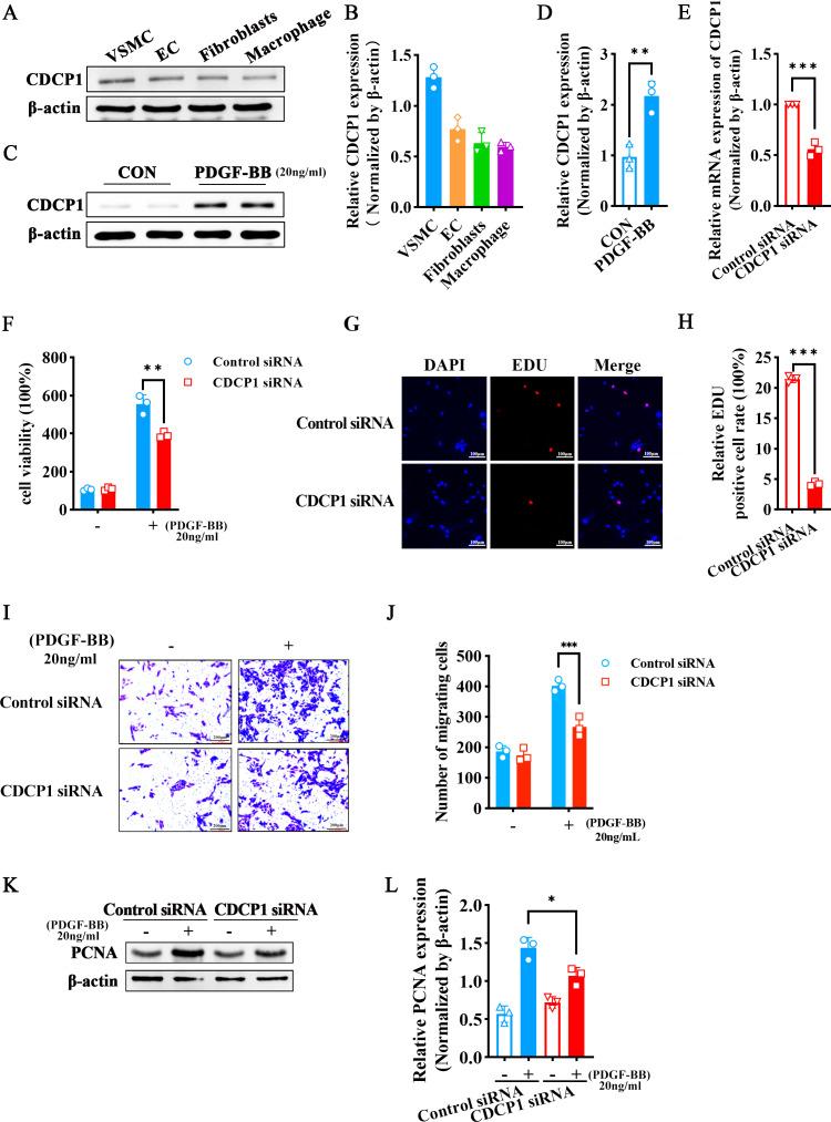 https://cdn.ncbi.nlm.nih.gov/pmc/blobs/54b0/12007496/28c8aa68a5db/peerj-13-19114-g002.jpg