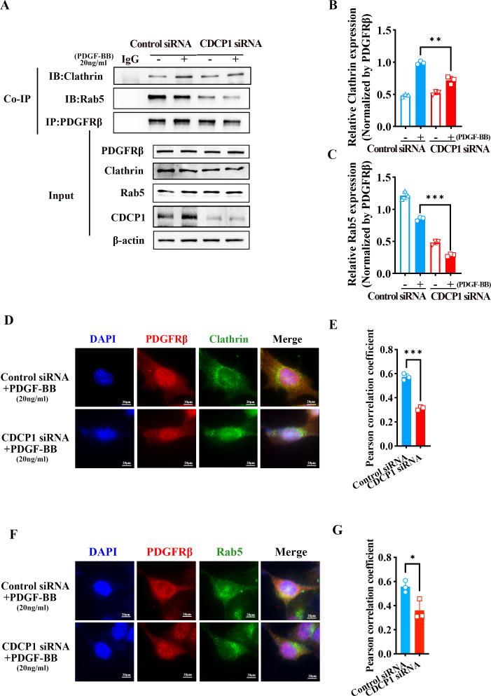 https://cdn.ncbi.nlm.nih.gov/pmc/blobs/54b0/12007496/766665eae4d2/peerj-13-19114-g005.jpg