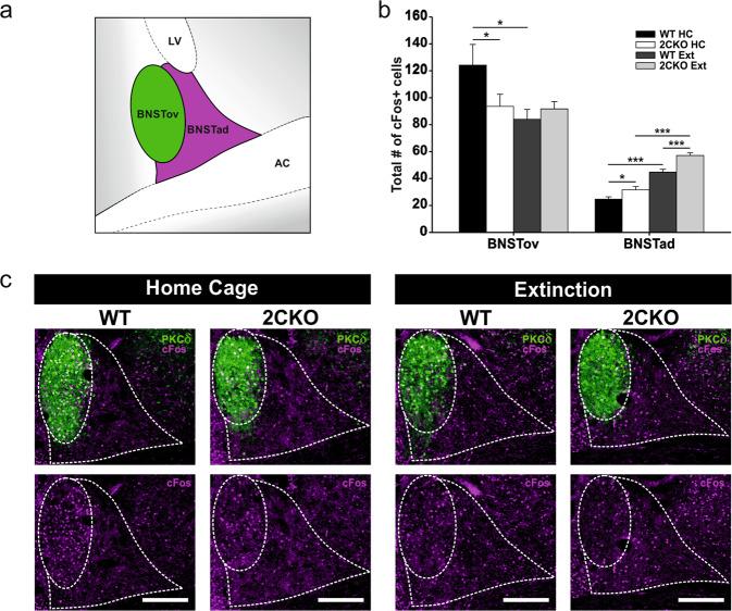https://cdn.ncbi.nlm.nih.gov/pmc/blobs/54b0/9675804/b63401dd6083/41398_2022_2252_Fig3_HTML.jpg