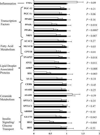 https://cdn.ncbi.nlm.nih.gov/pmc/blobs/54b2/2797948/03319485cac8/zdb0011059840003.jpg