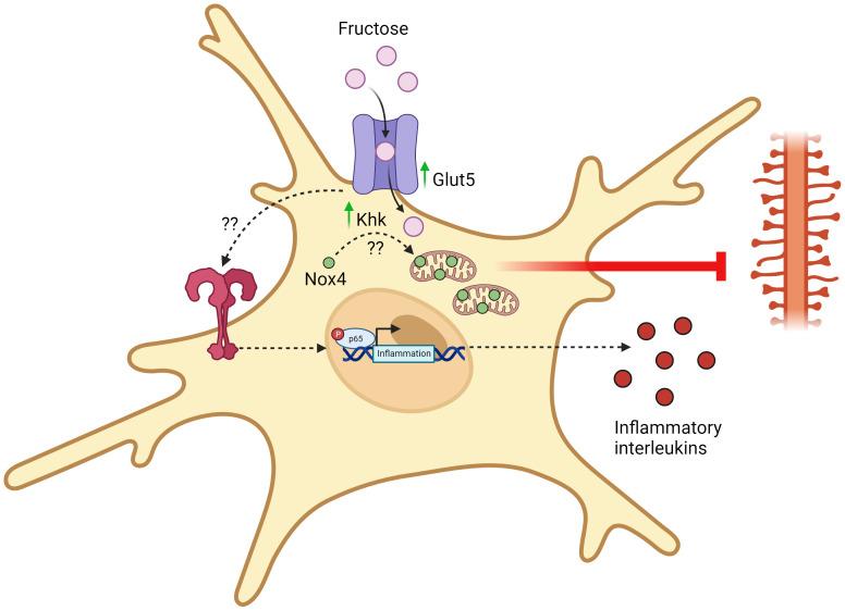 https://cdn.ncbi.nlm.nih.gov/pmc/blobs/54b3/11002174/7b4af9b6b131/fimmu-15-1375453-g002.jpg